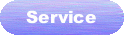 [Services]